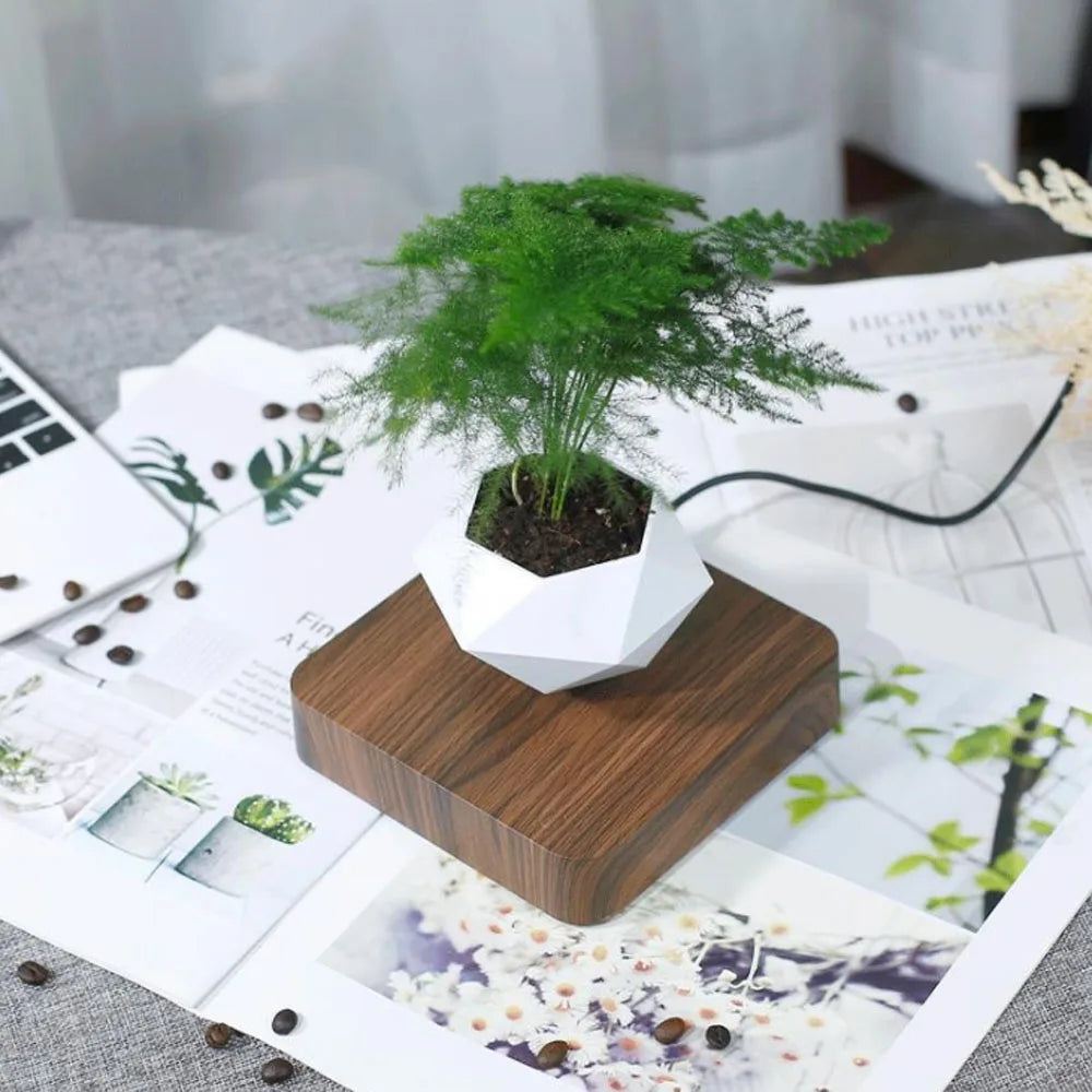 Levitating Air Bonsai Plant Pot for Home & Office