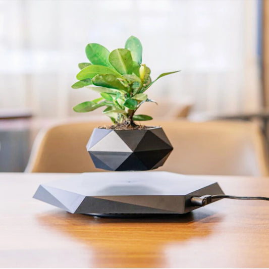 Levitating Air Bonsai Plant Pot for Home & Office