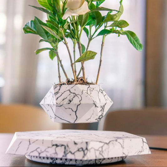 Bonsai Pot Rotation Flower